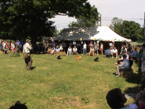 Quarley 2005 Fete - Howard Kirby - dog training demonstration